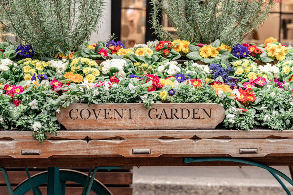 A sign saying convent garden with colorful flowers around it